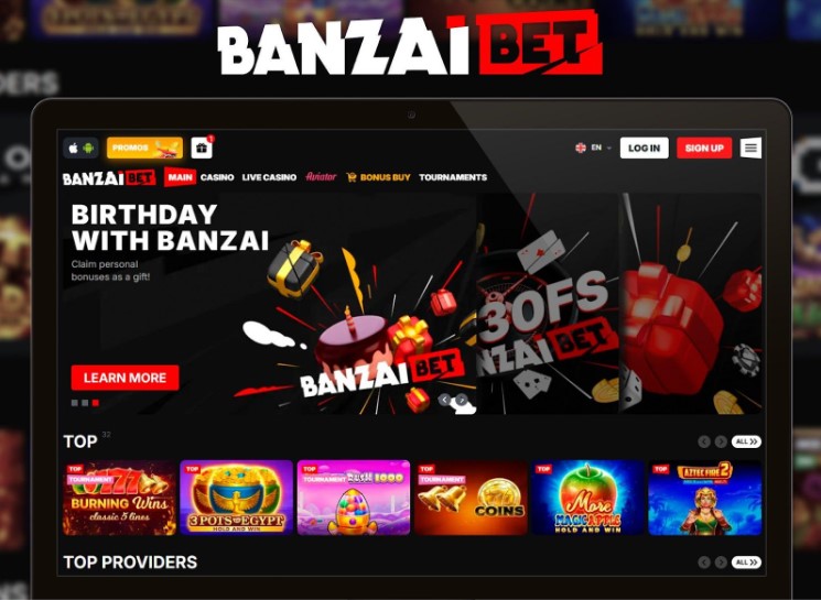 Banzai Bet Terms and Conditions of Use