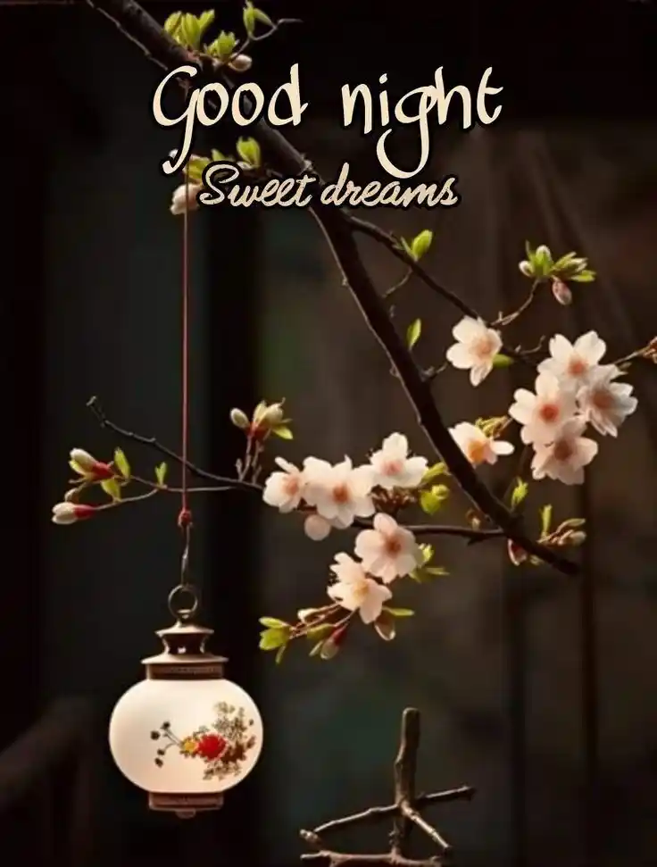 angel good night images