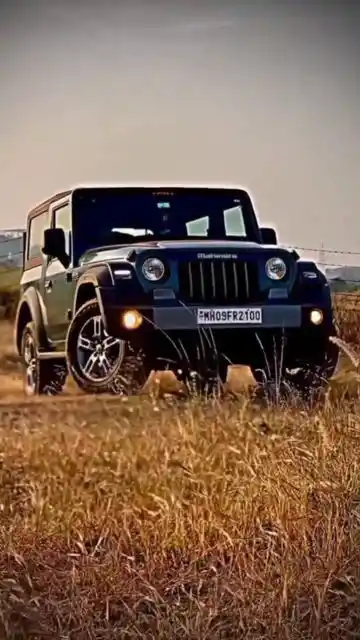 black thar dp
