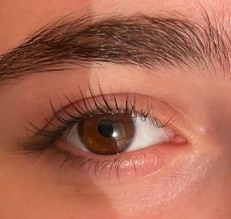boys eyes dp