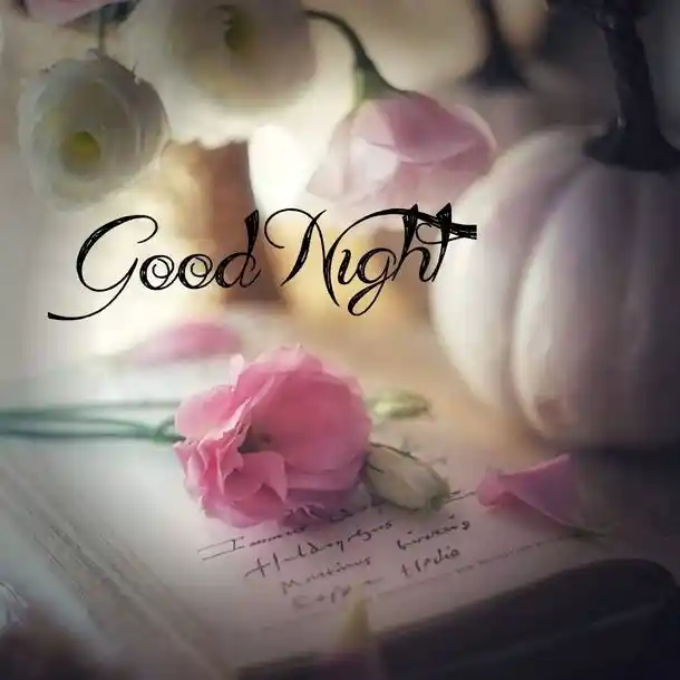 cartoon good night images
