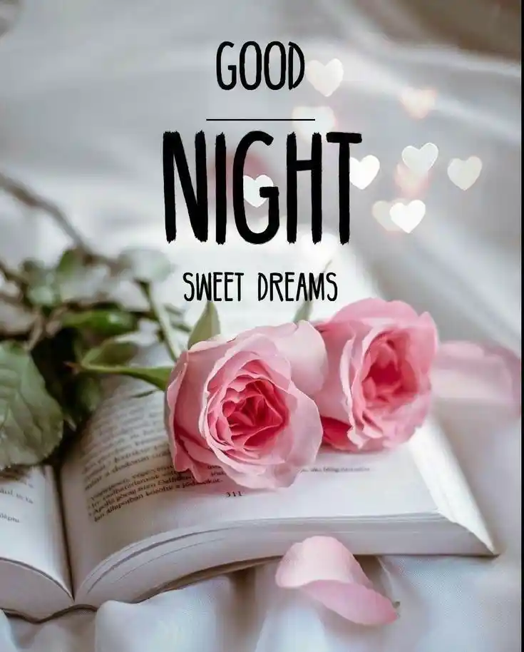 good night images cute