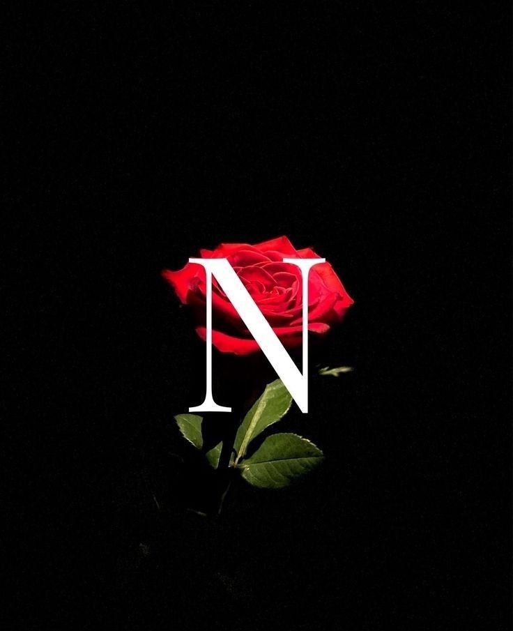 n name dp 25