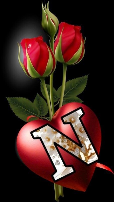 n name dp 46