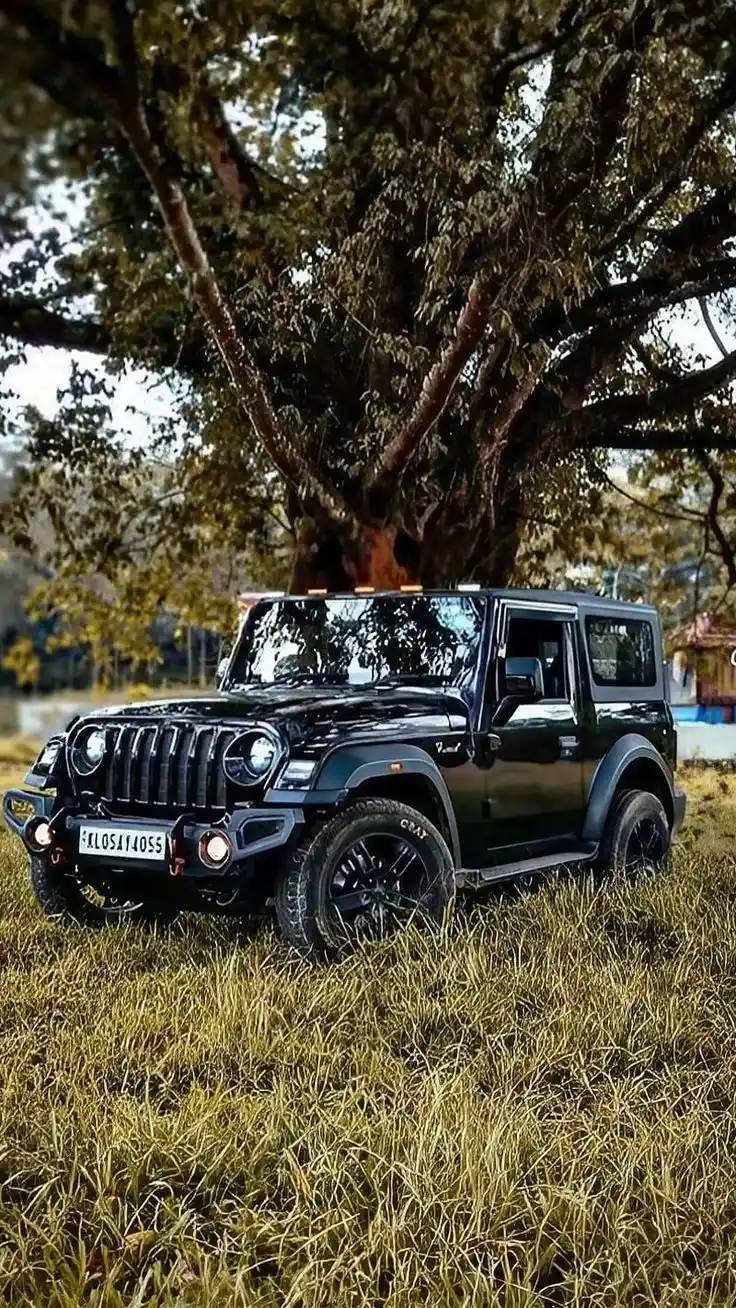 thar roxx images